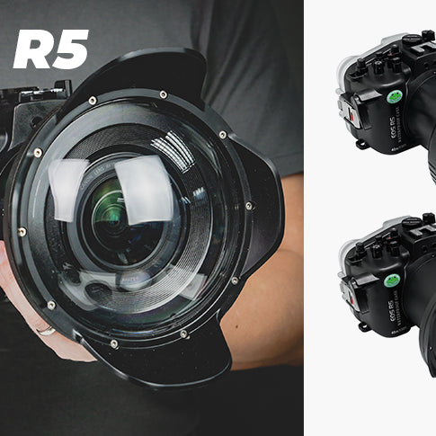 NOW AVAILABLE! Canon EOS R5 SeaFrogs 40m/130ft Underwater camera housing